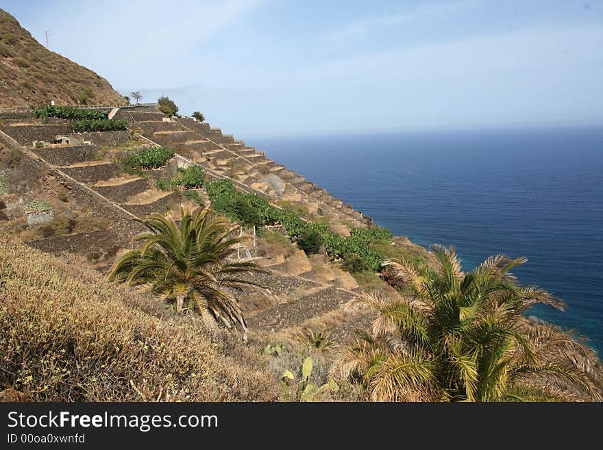 Terrace fields