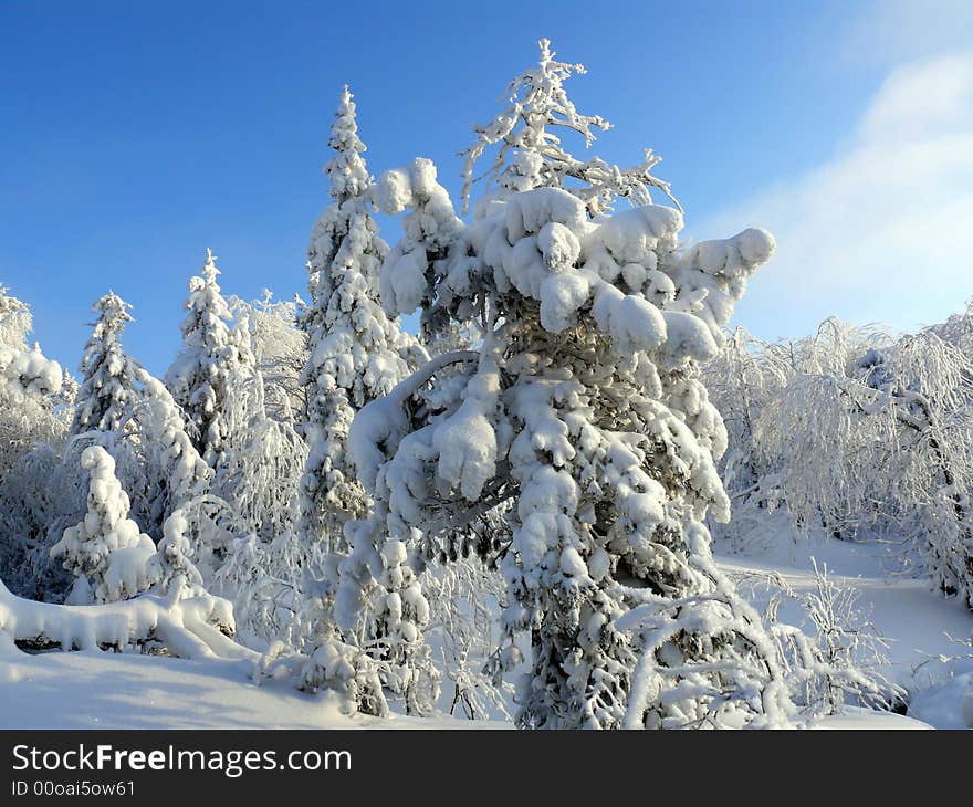 Fairy-tale tree, winter, glade, snowdrifts, russia, Ural,snow, frost