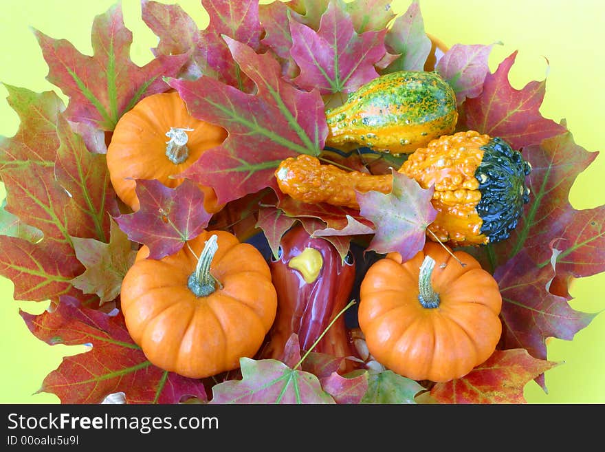 Autumn maple leaves & gourds.