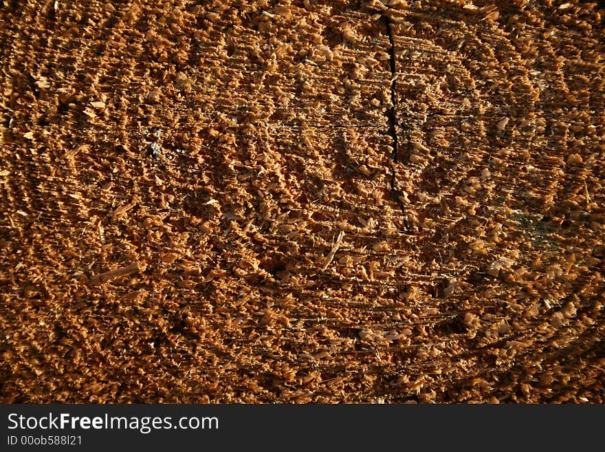 Close - up of split cut of the log. Close - up of split cut of the log.