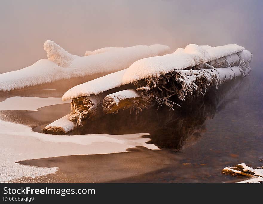 The frozen logs covered by a snow in water