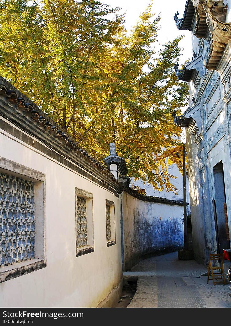 Yellow leaves and traditional buildings