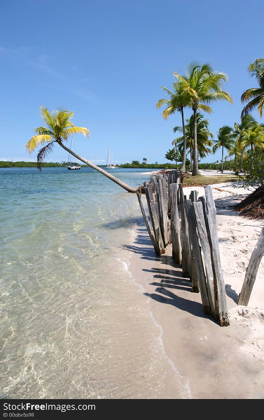 Tropical White Sand Beach