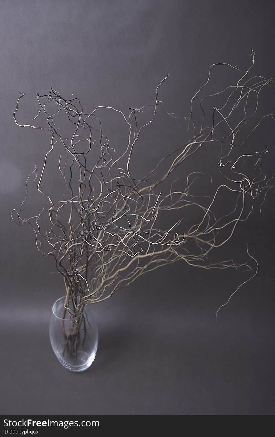 Twigs in vase