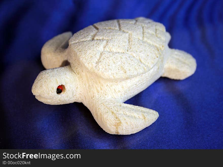 The coral turtle on the blue background