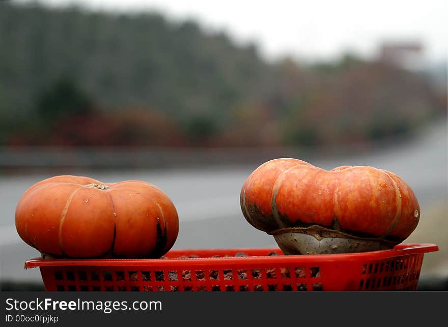 Beijing suburban autumn ...Pumpkin in the autumn scenery.