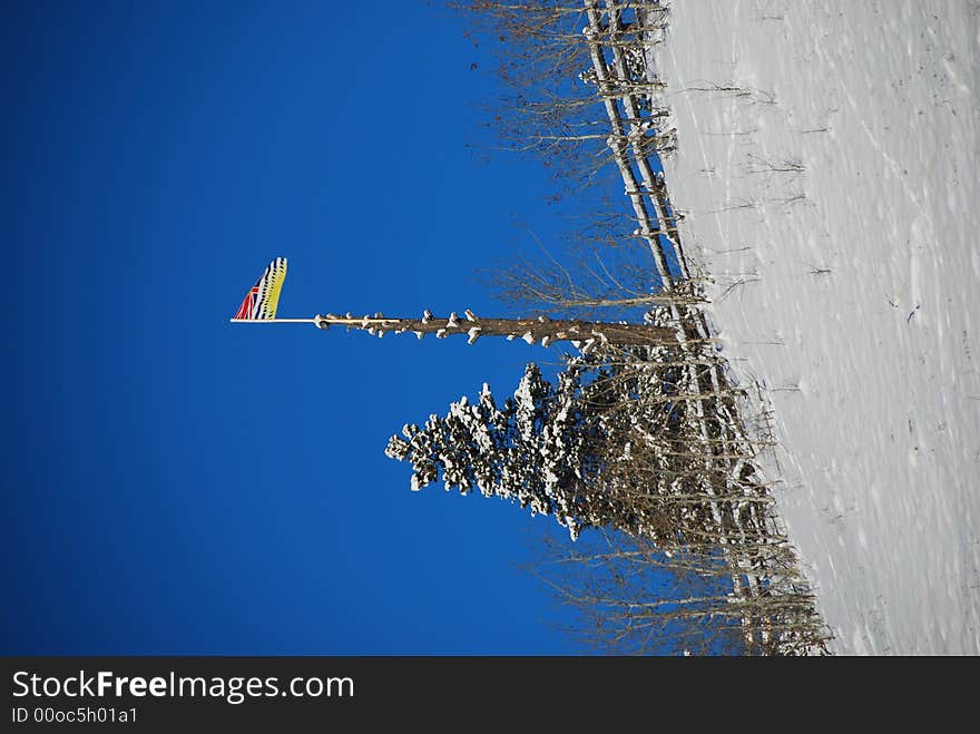 Flag from british columbia on a beautiful winter day