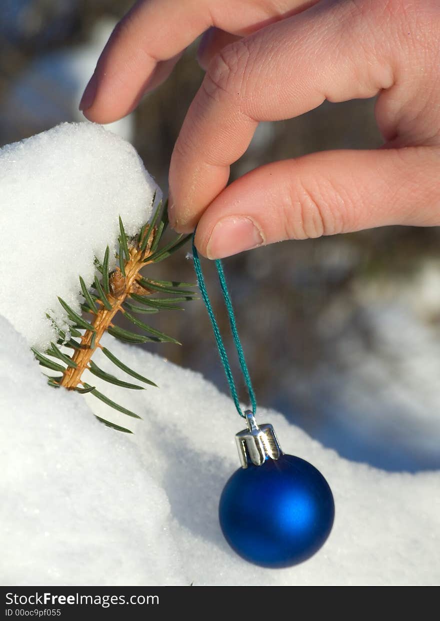 Decorating the fir tree outdoors. Decorating the fir tree outdoors