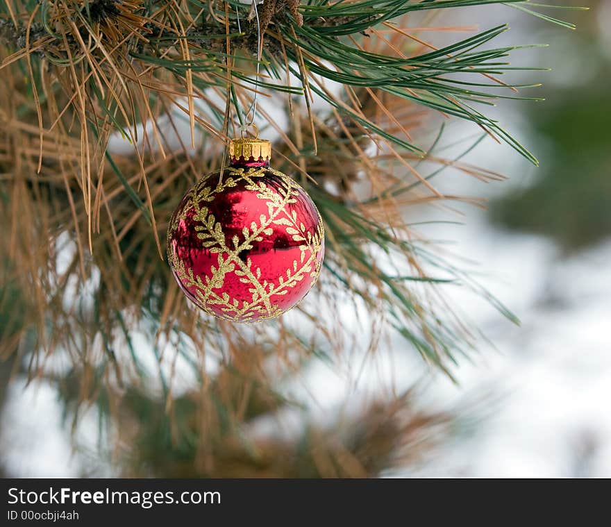 Red and Gold Christmas Ornament in a snowy pine tree