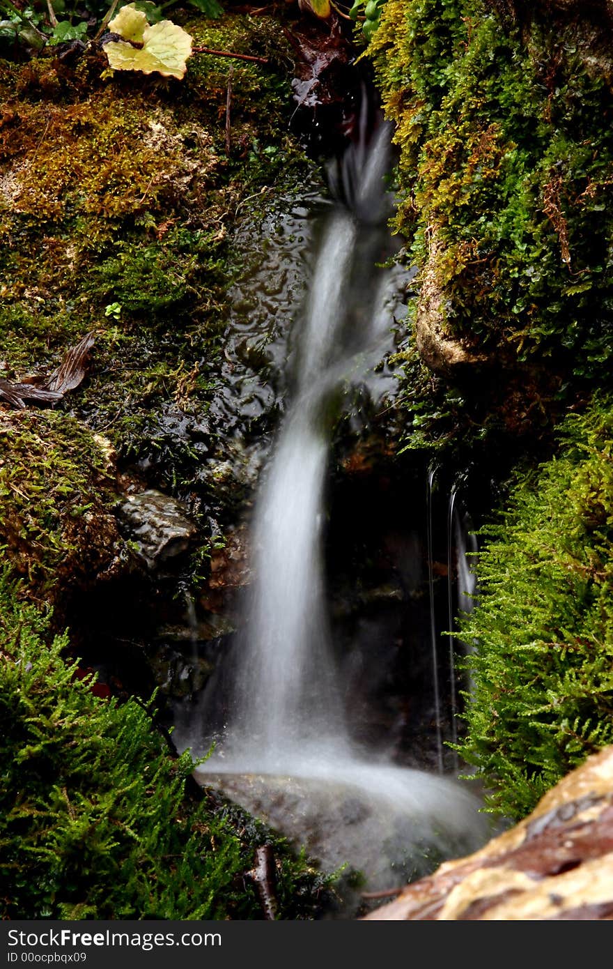 Stream in Krum at fall in 2007