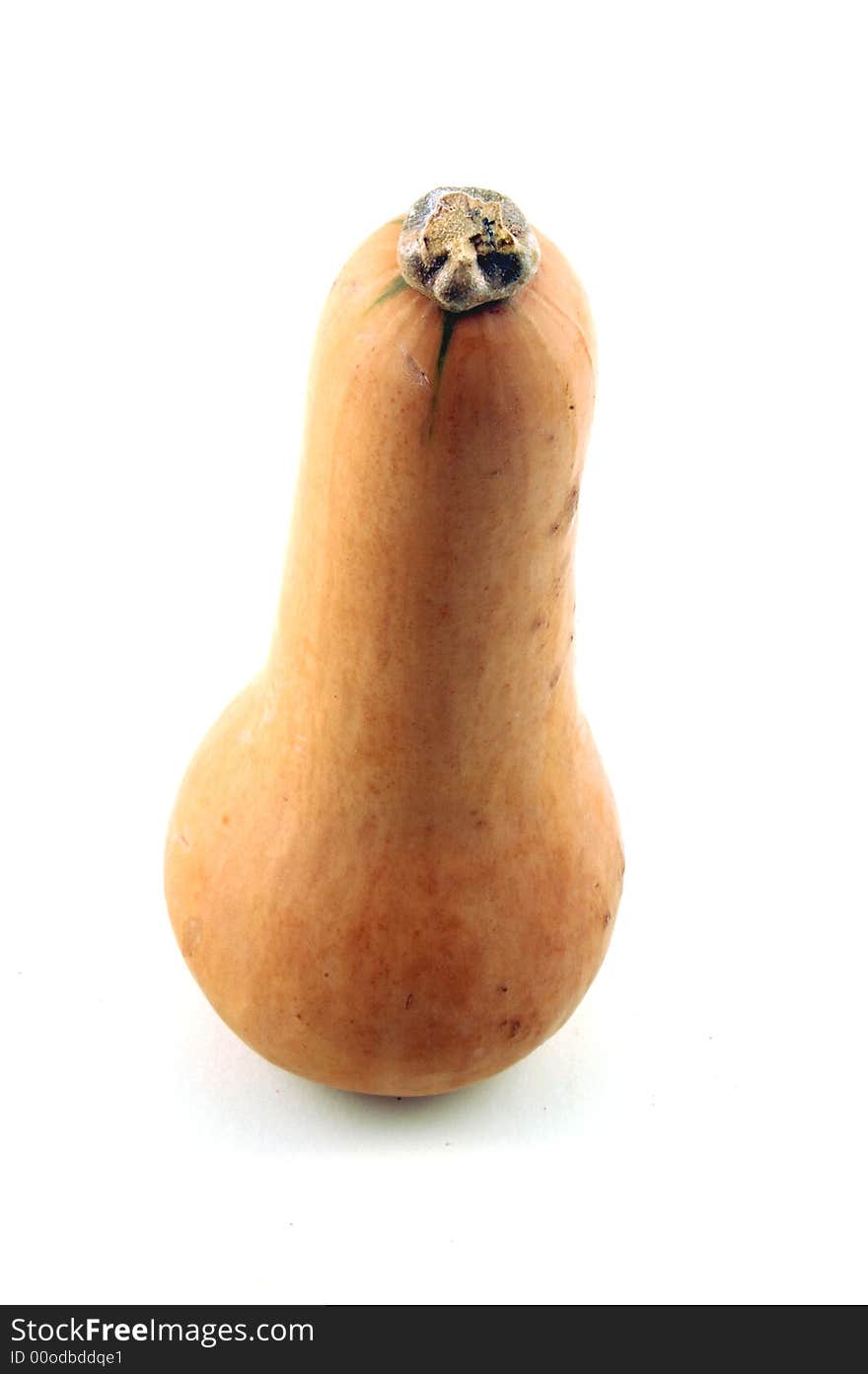 Butternut Squash on a white background