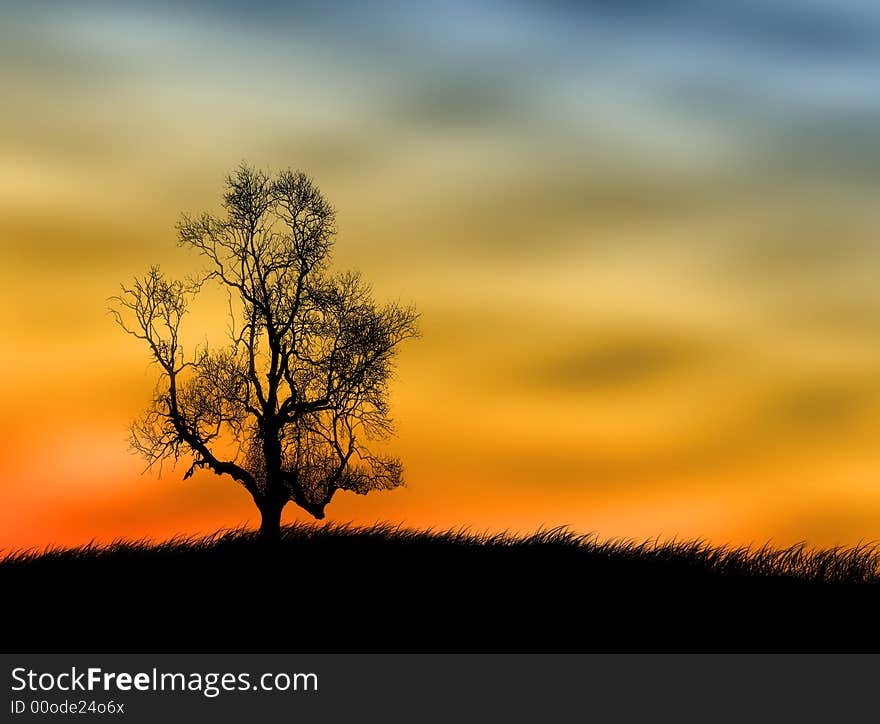 Tree silhouette on the field against a sunset sky. Tree silhouette on the field against a sunset sky