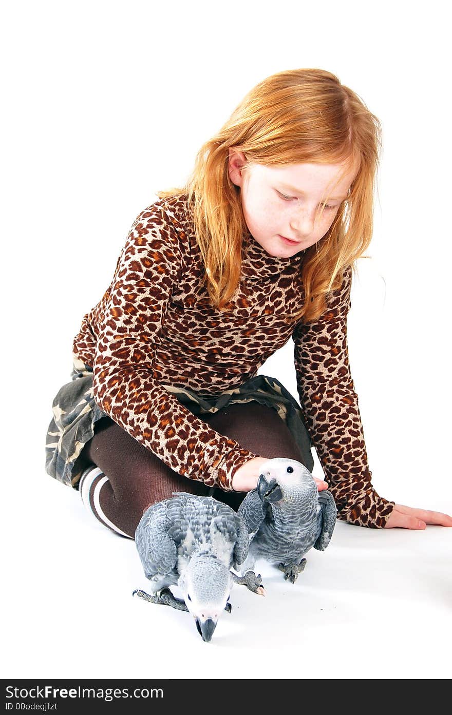 Red tale parrot on white and little girl