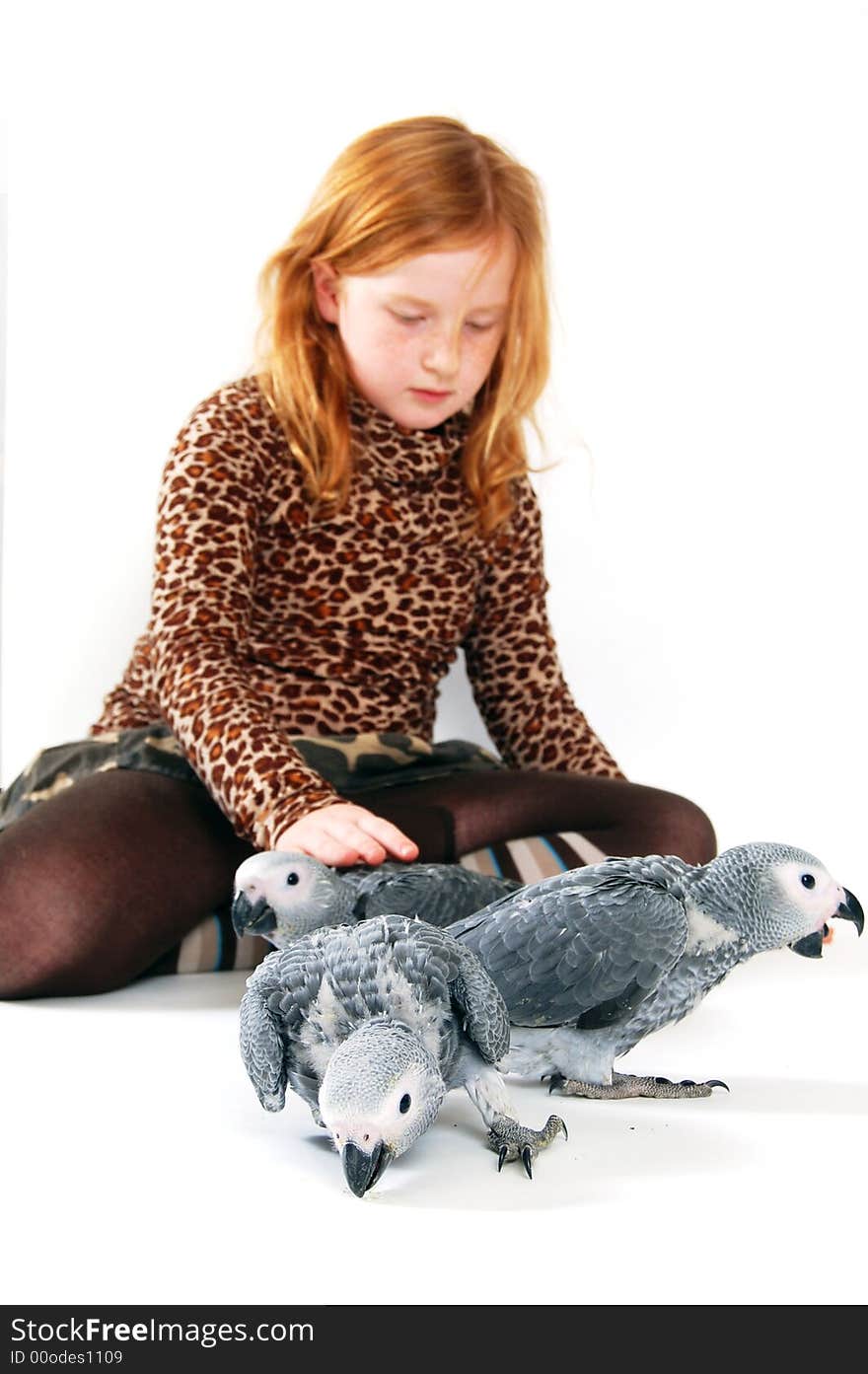 Red tale parrot on white with young girl