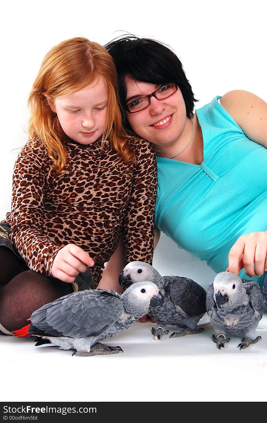 Red Tale Parrot On White With Female And Girl