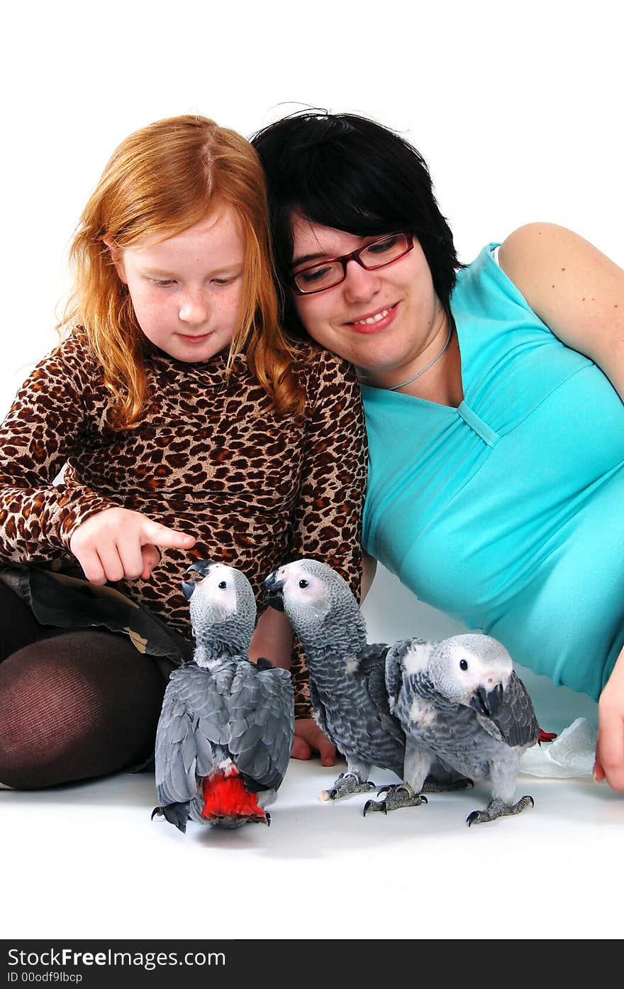 Red tale parrot isolated on white with female and girl. Red tale parrot isolated on white with female and girl