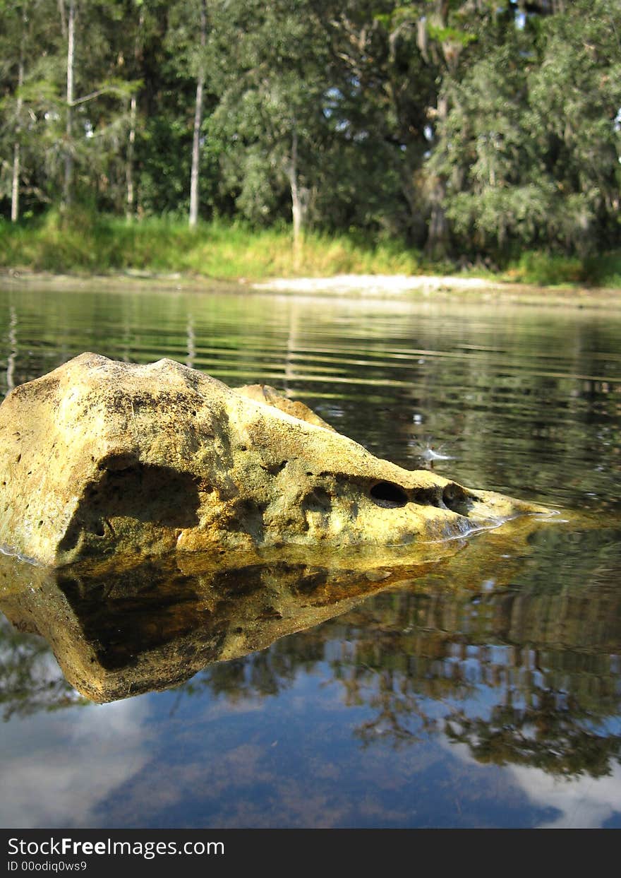 A bolder resting in an old Florida river at fish eating Creek. A bolder resting in an old Florida river at fish eating Creek.