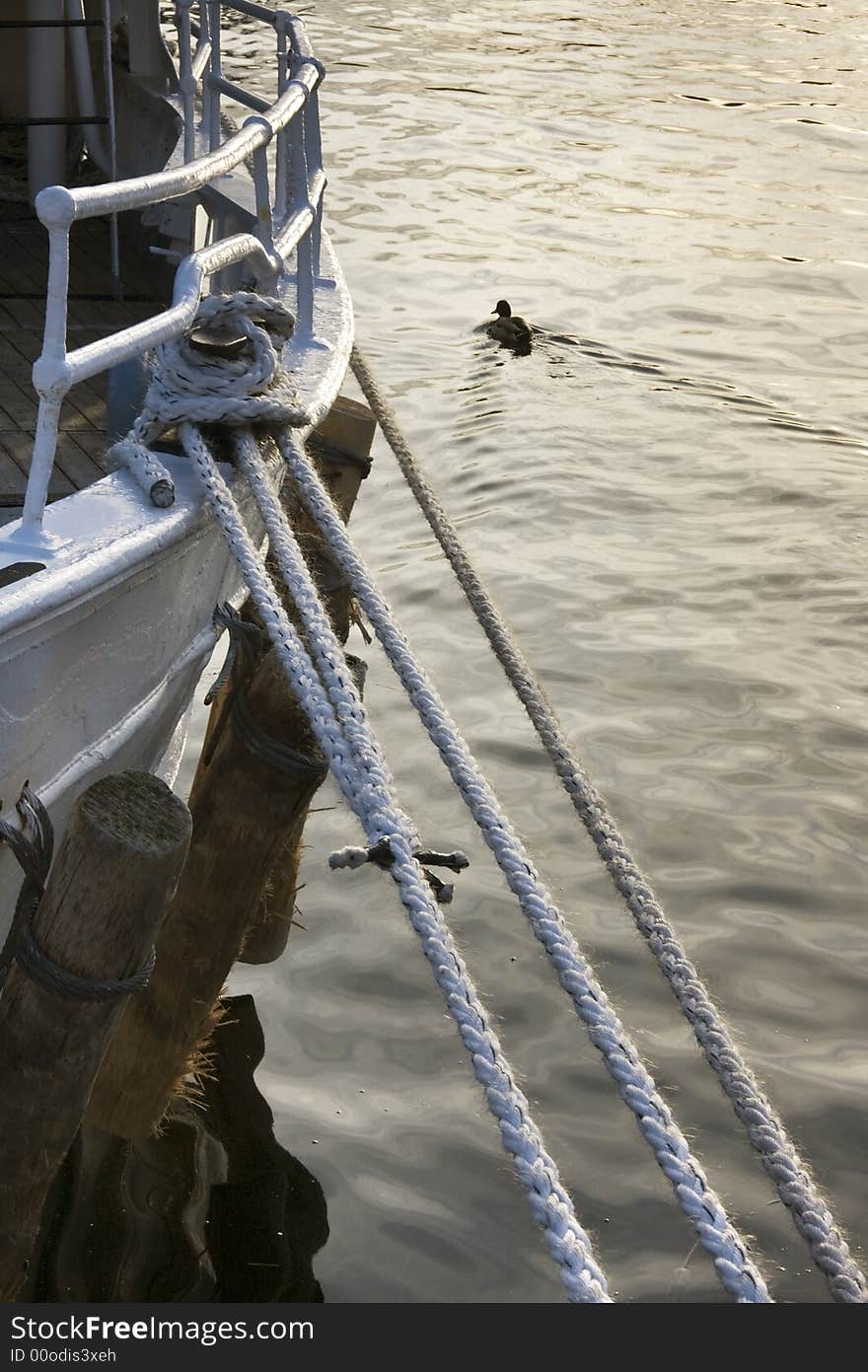 At the pier