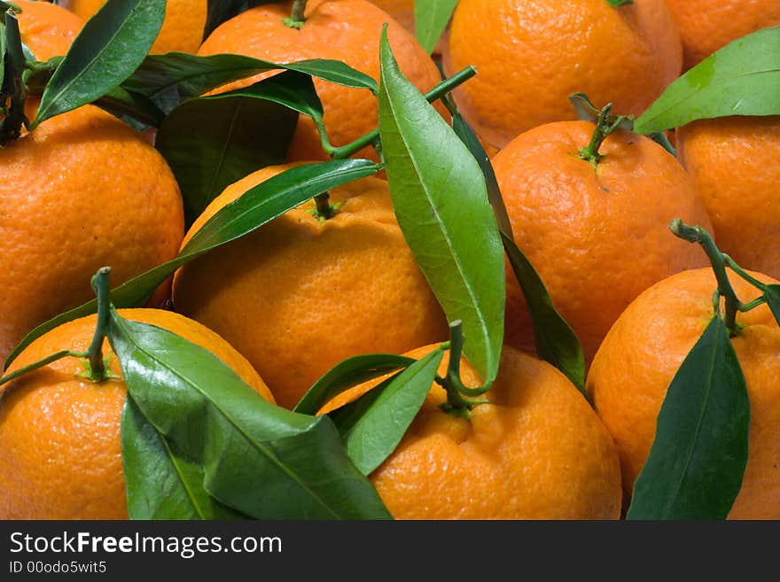 Tangerines with leaves