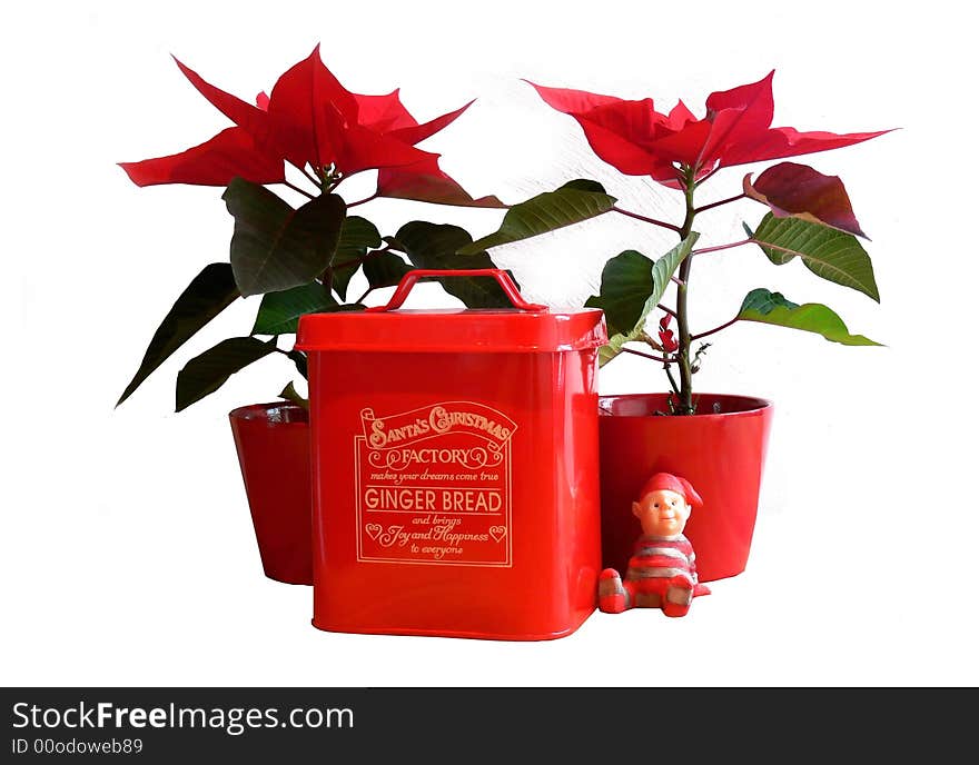 Ginger bread in a  tin can accompanied by two christmas flowers and a small Santa. Ginger bread in a  tin can accompanied by two christmas flowers and a small Santa