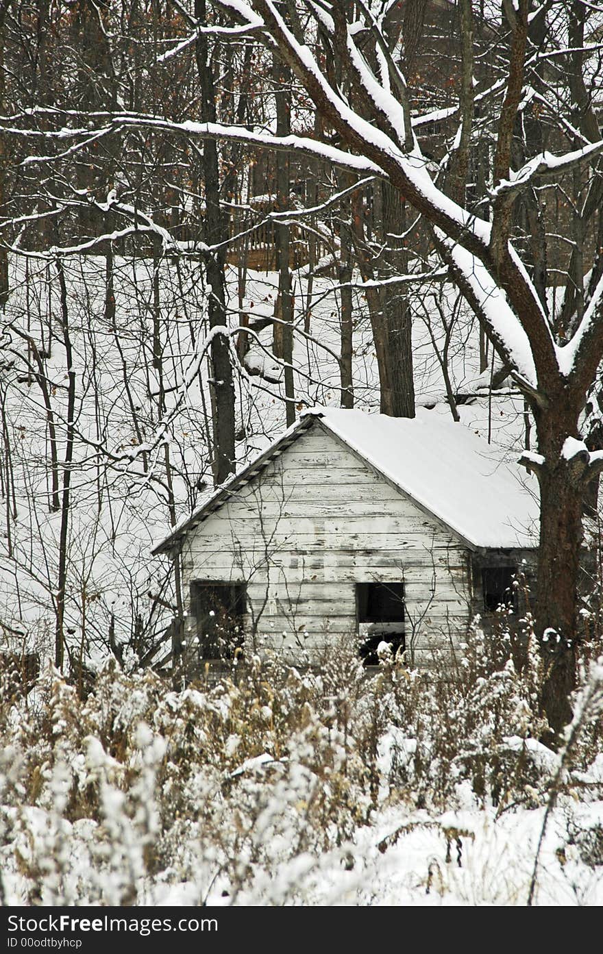 Winter White