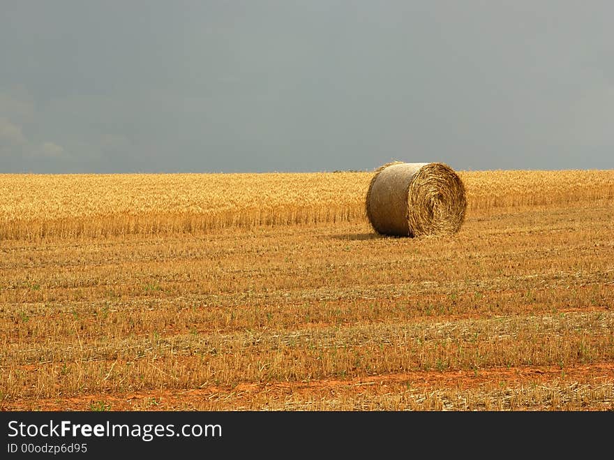 A Hay Field in country Australia, with a summer storm building in the background. A Hay Field in country Australia, with a summer storm building in the background.