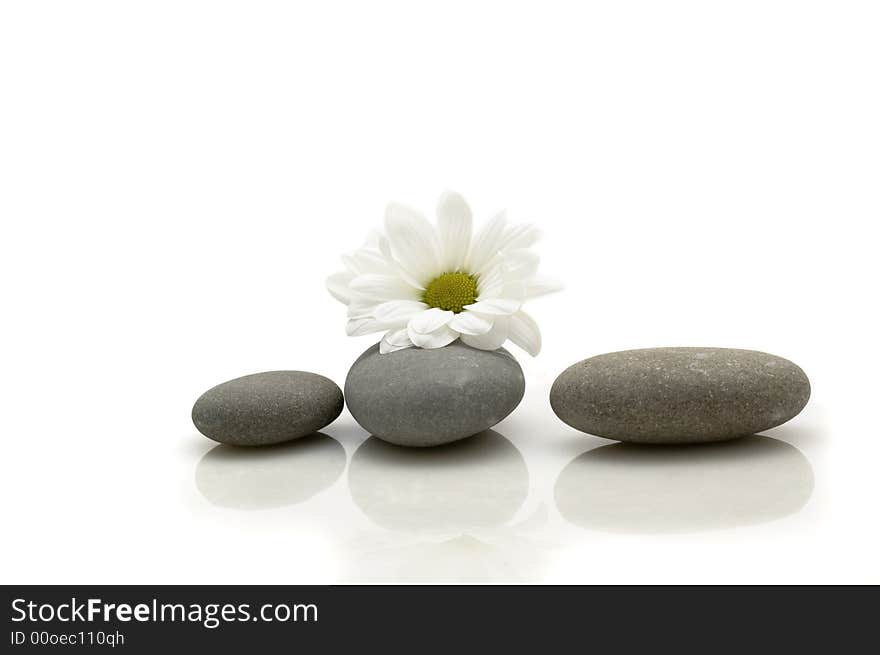 Three rocks and flower on white