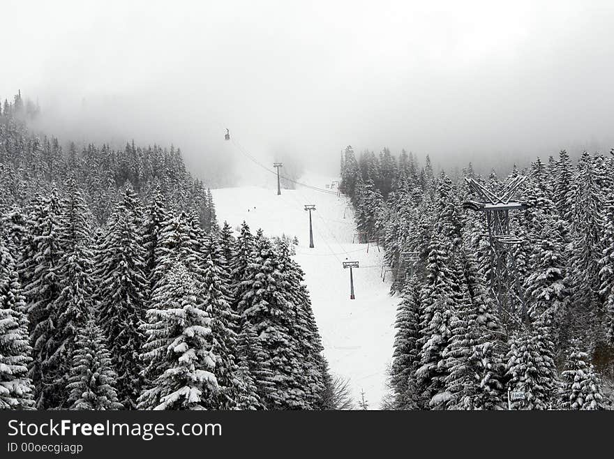 Winter landscape in Romania with droopy trees due to heavy snow