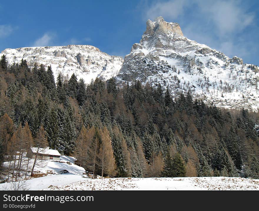 Winter landscape with snowy windy rocks and green firs in val d'Ossola, Italy. Winter landscape with snowy windy rocks and green firs in val d'Ossola, Italy