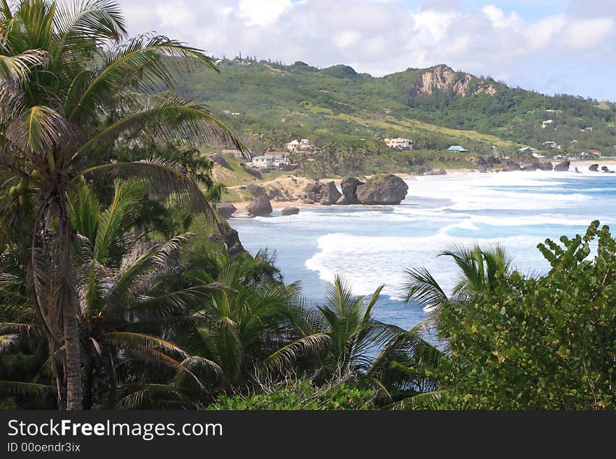 Over looking a tropical beach on the island of barbados. Over looking a tropical beach on the island of barbados