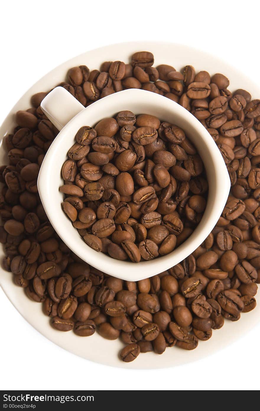 Close-up of coffee beans in the white cup