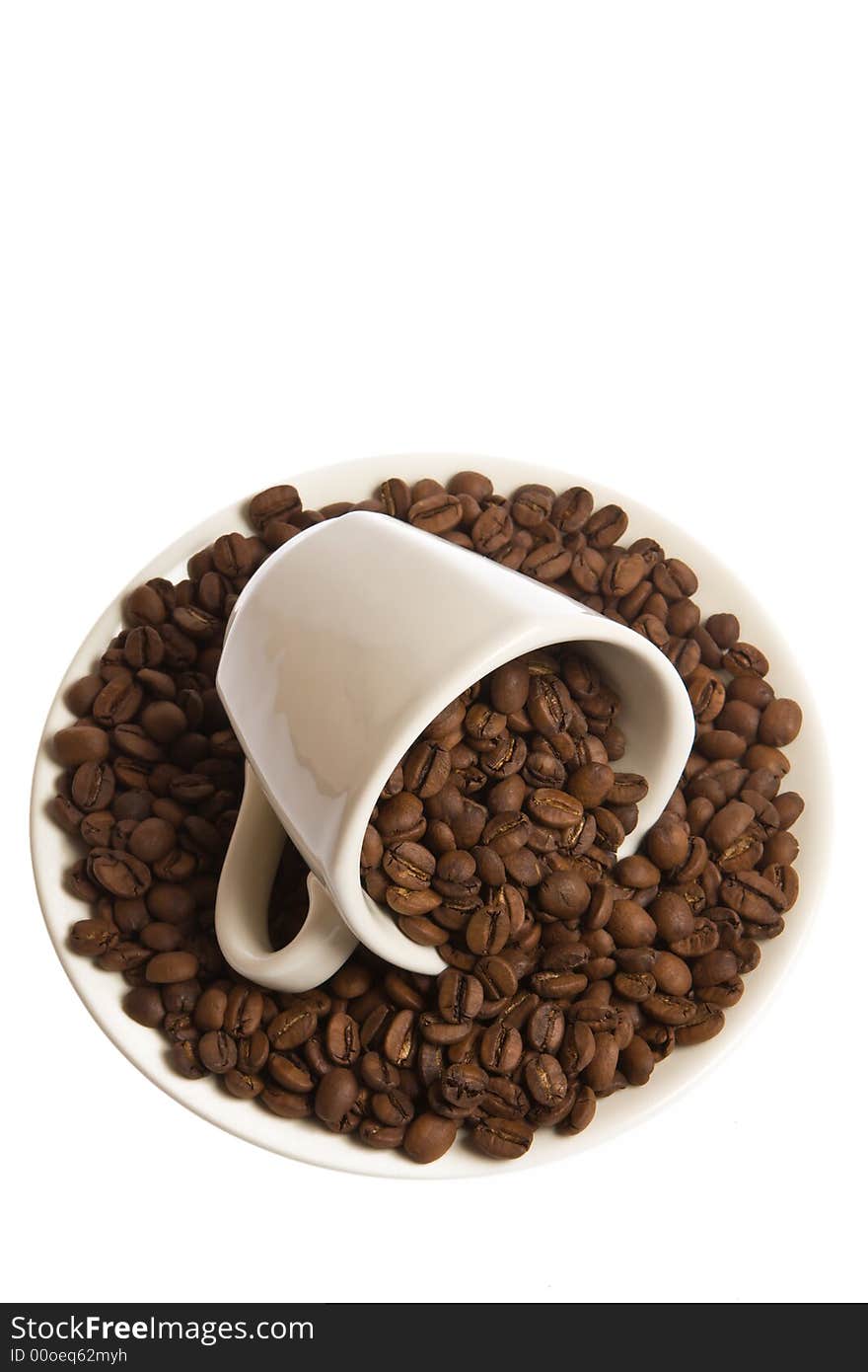 Coffee beans in the white cup. Coffee beans in the white cup