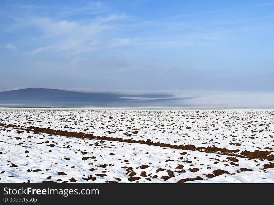 Winter Field.