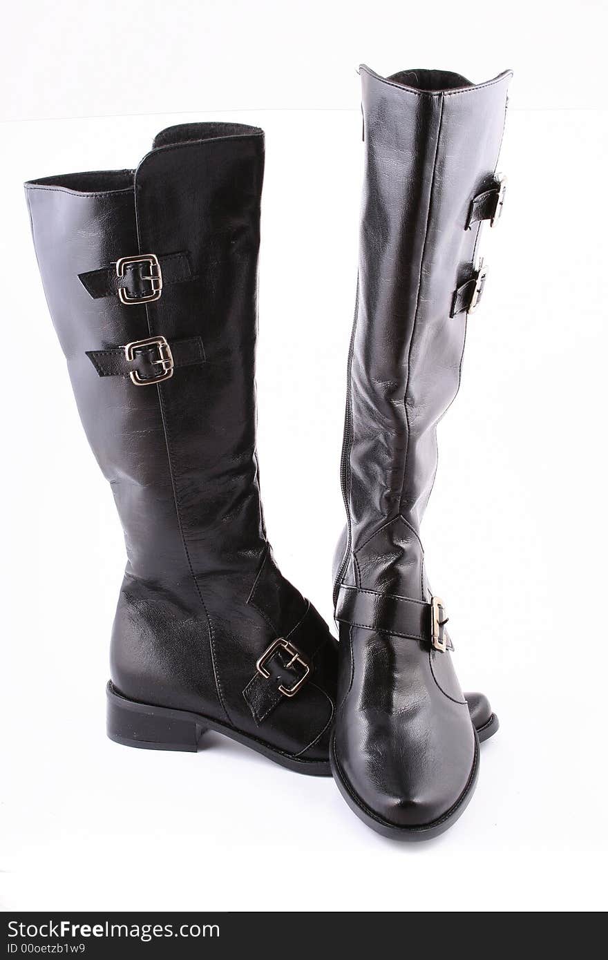 Fashionable Leather Female Boots