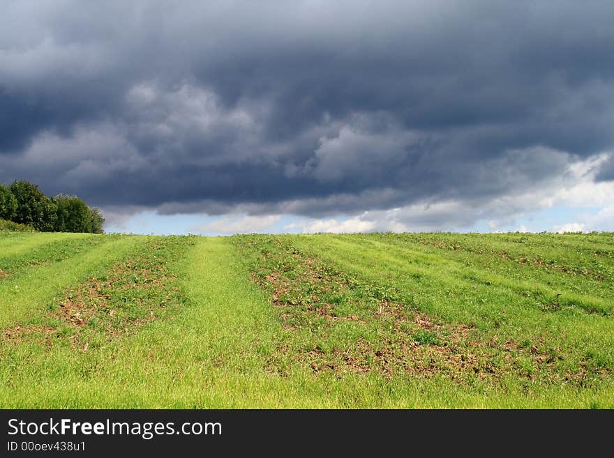 He is a wheat field under thunderclouds. He is a wheat field under thunderclouds.