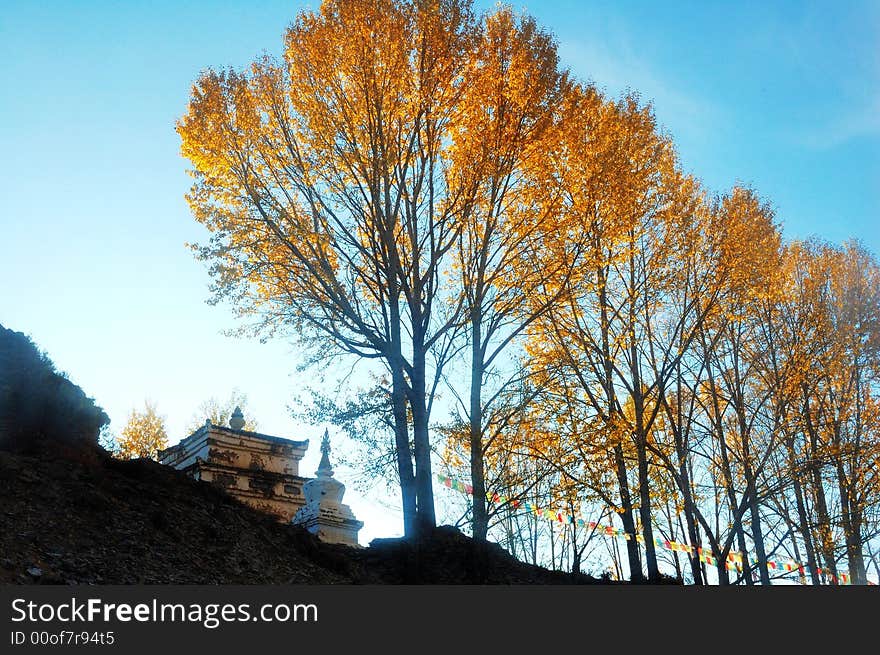 White Tower and Yellow Tree. White tower is a traditional character of Tibet. It stands for religion, hope.