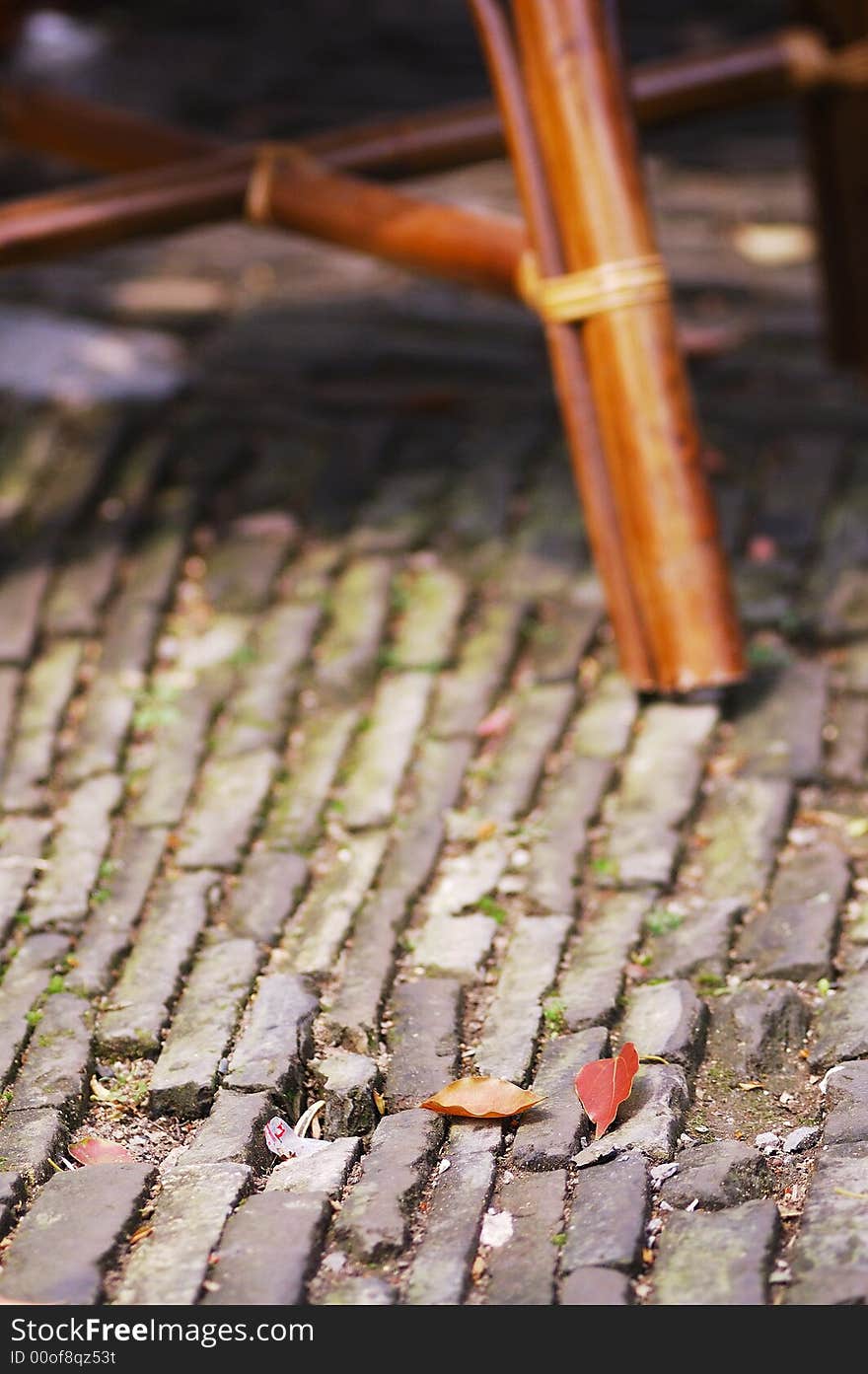 Fallen Leaves around a chair