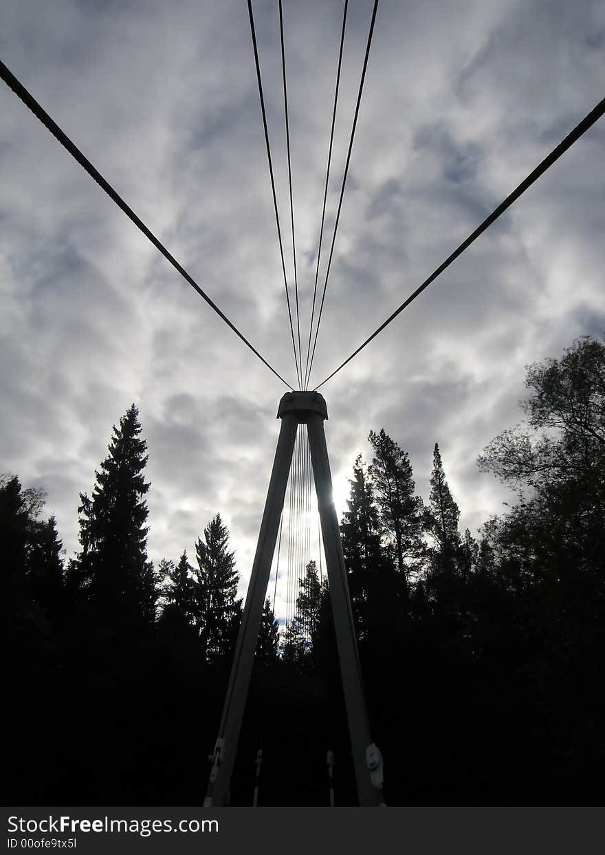 An abstract bridge leading into the forest