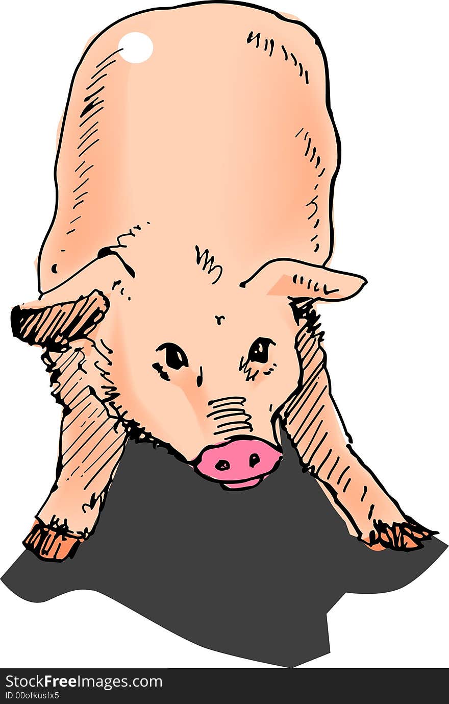 Illustration, vector for a shy piglet, farm animals.