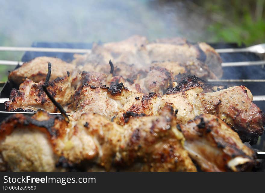 Pork kebab with onion on the BBQ. Pork kebab with onion on the BBQ