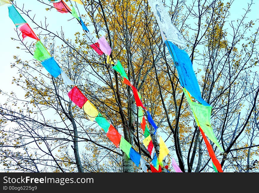 Trees And Streamer