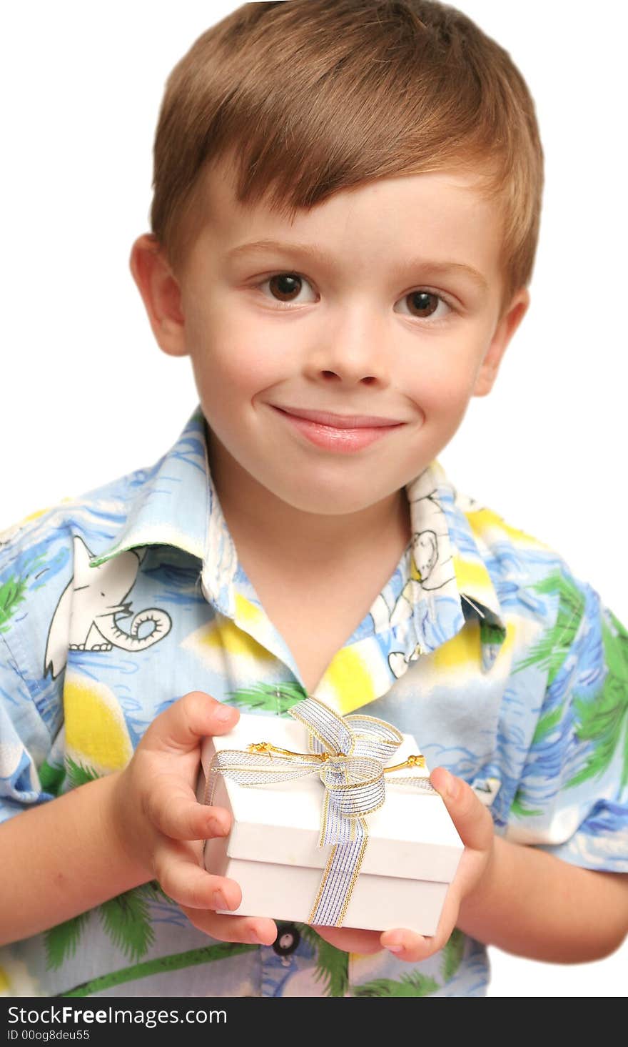 The Nice Boy Holds A Gift In Hands