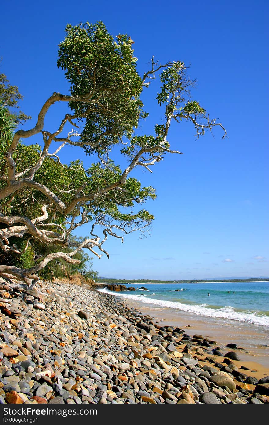 Beaches as Noosa, Sunshine Coast, Australia