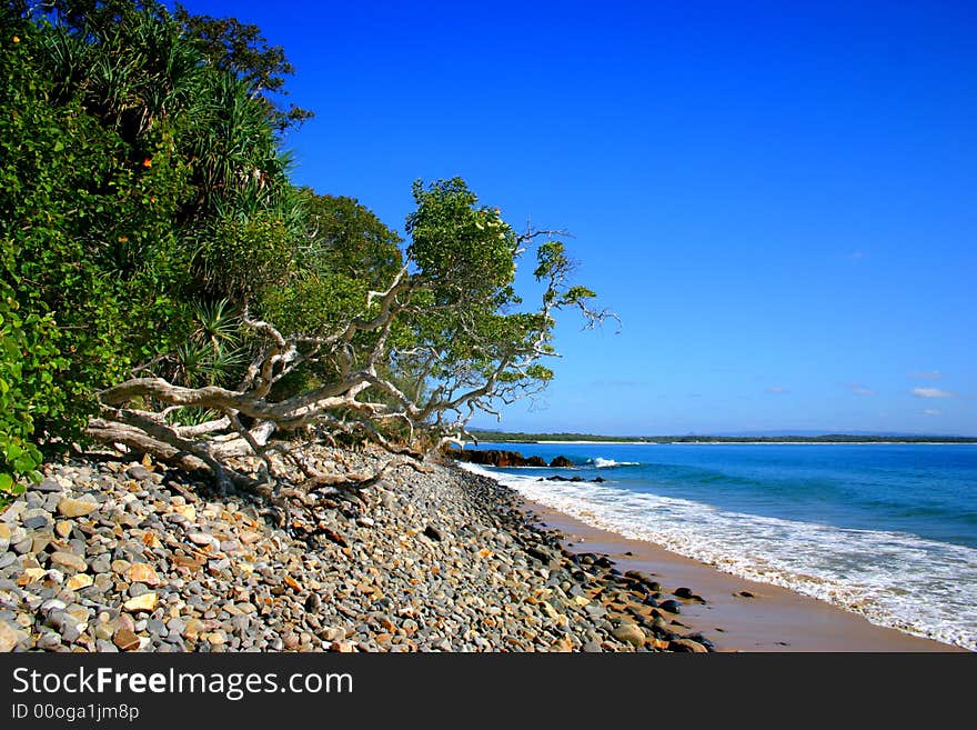 Beaches as Noosa, Sunshine Coast, Australia