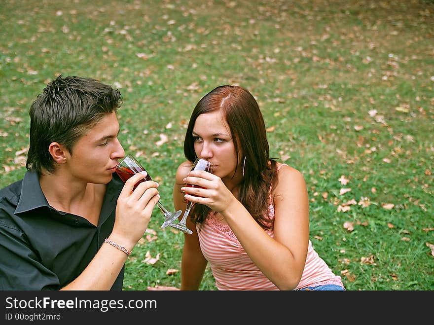 Girl and her boyfriend drinking wine in the park