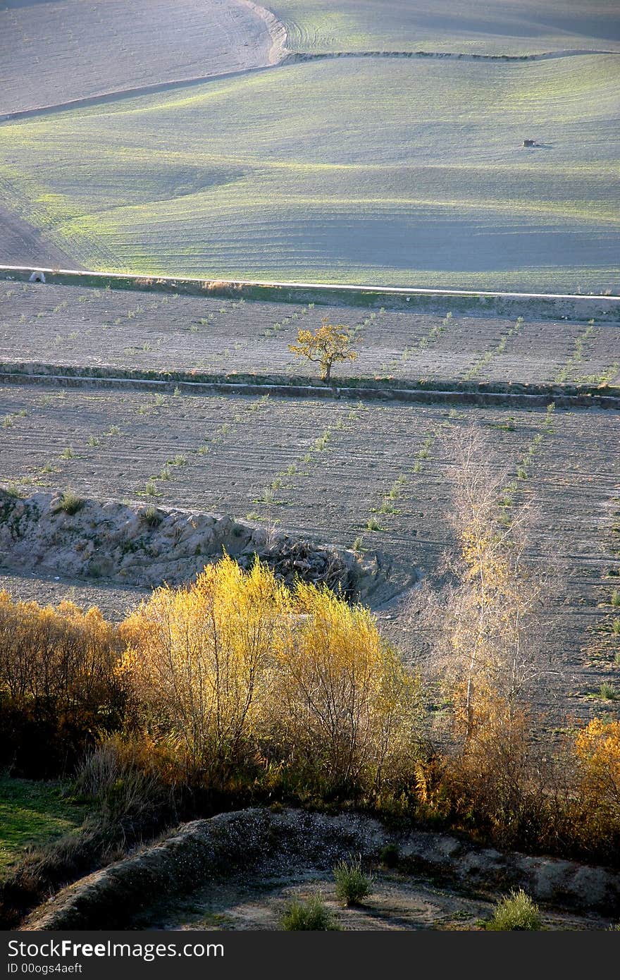 Countryside