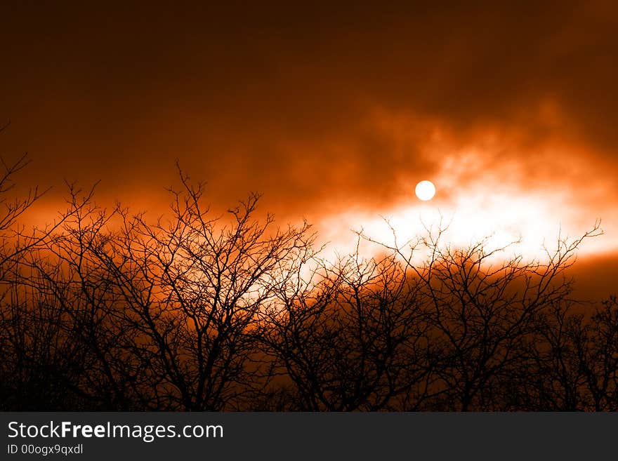 Taken in the daytime, that is actually the sun beyond the trees. Taken in the daytime, that is actually the sun beyond the trees.