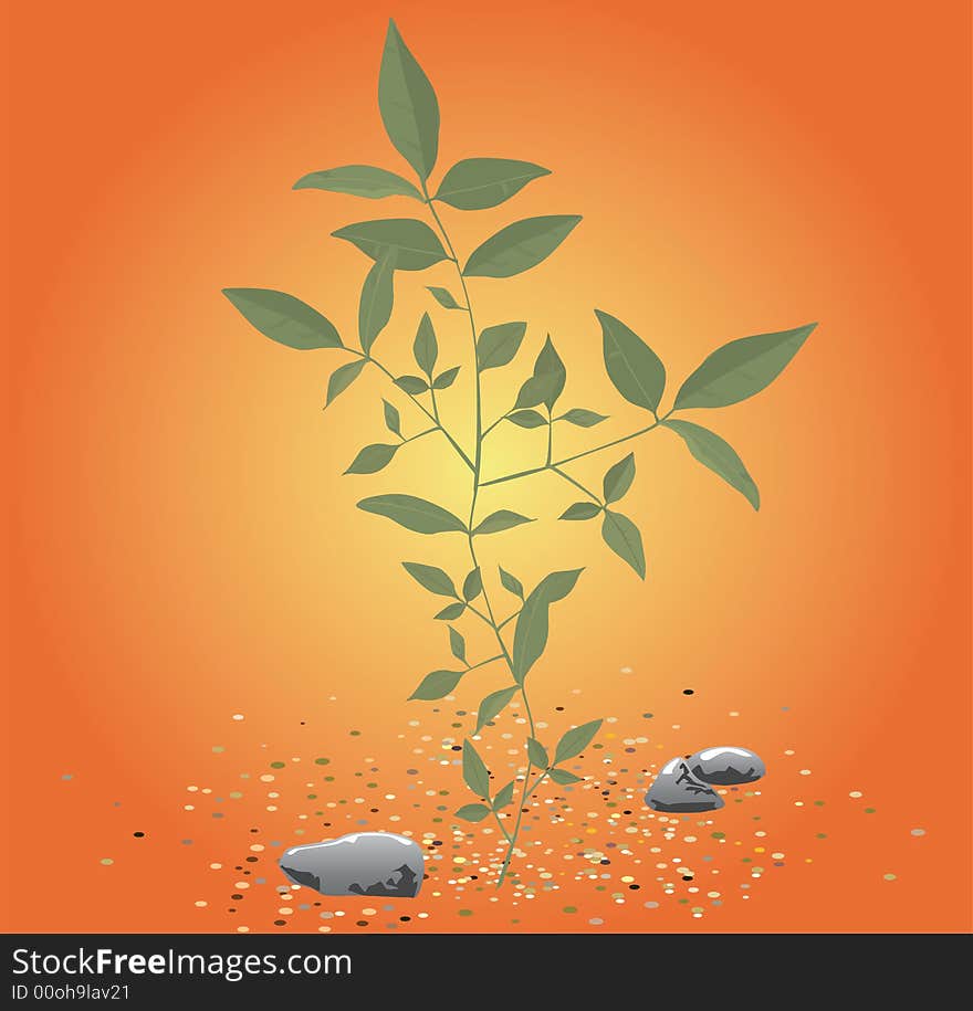 The plant with little stones (vector illustration). The plant with little stones (vector illustration)