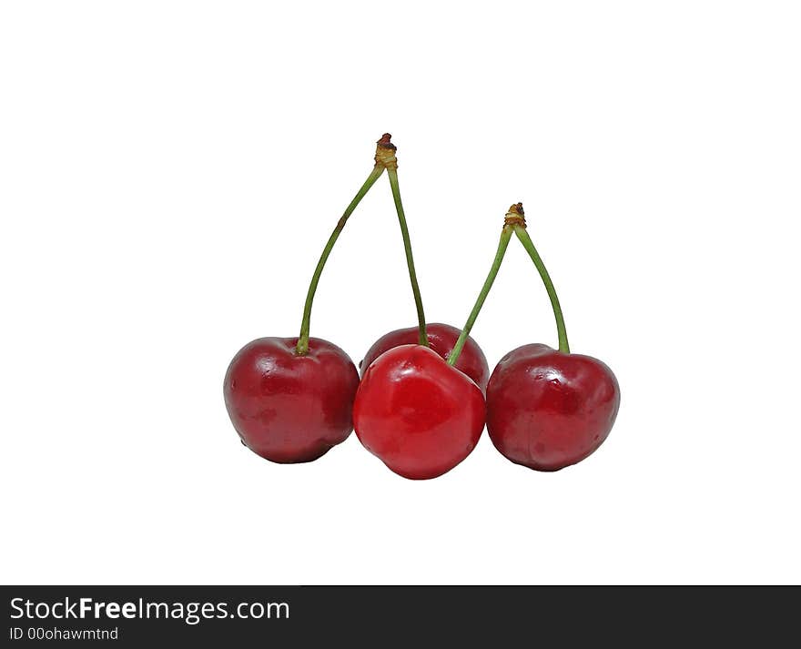 Four fresh cherries with waterdrops against white background. Four fresh cherries with waterdrops against white background