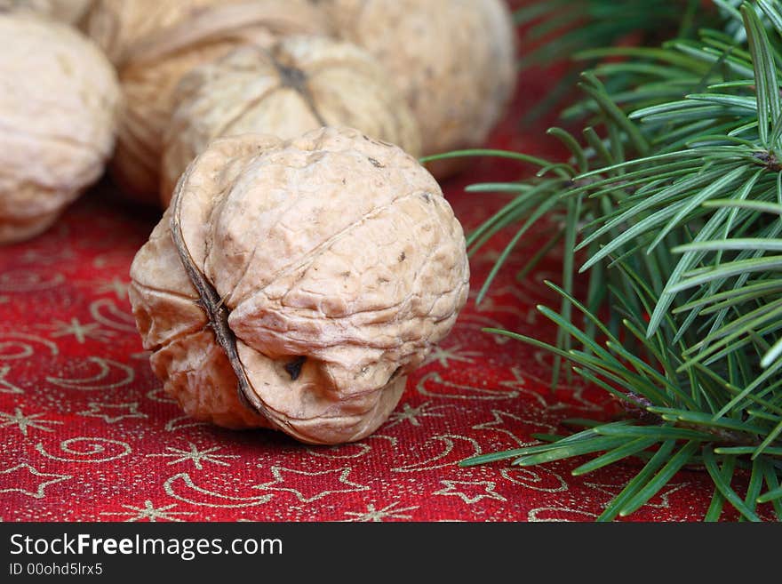 Close up of walnuts and pine